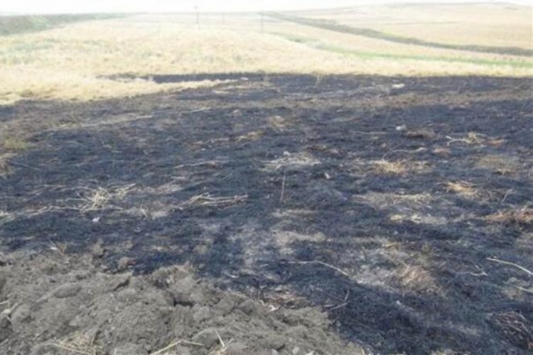 Yıldırımın d&uuml;şt&uuml;ğ&uuml; tarlada 6 d&ouml;n&uuml;m arpa k&uuml;le d&ouml;nd&uuml;