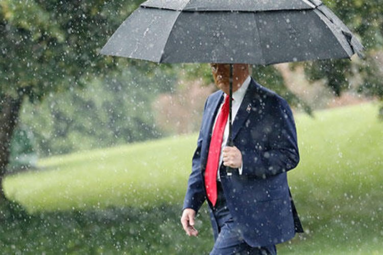 Seattle Belediye Başkanı'ndan Trump'a: "Sığınağına d&ouml;n"