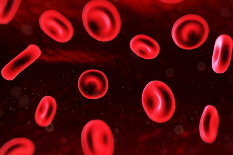 Eozinofil nedir? Eozinofil değeri ka&ccedil; olmalıdır? D&uuml;ş&uuml;kl&uuml;ğ&uuml; ile y&uuml;kseliği nedenleri ve belirtileri