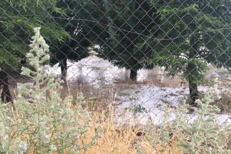 Konya'da dolu yağışı zarara yol a&ccedil;tı