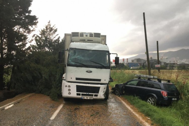 Bursa'da devrilen ağaca &ccedil;arpmamak i&ccedil;in manevra yaptı, otomobile &ccedil;arptı