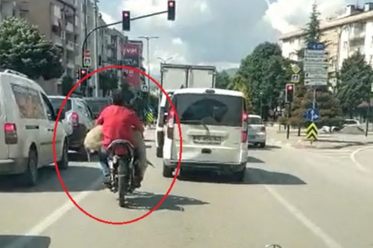 Bursa'da motosikletiyle k&uuml;&ccedil;&uuml;kbaş hayvan taşıdı