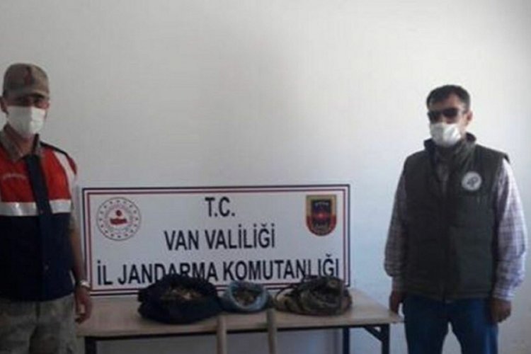 Ka&ccedil;ak salep soğanı toplayan 2 kişiye 147 bin TL ceza kesildi