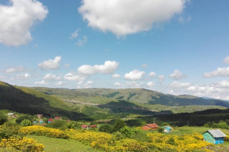 Ordu'nun yaylalarında kartpostallık g&ouml;r&uuml;nt&uuml;ler