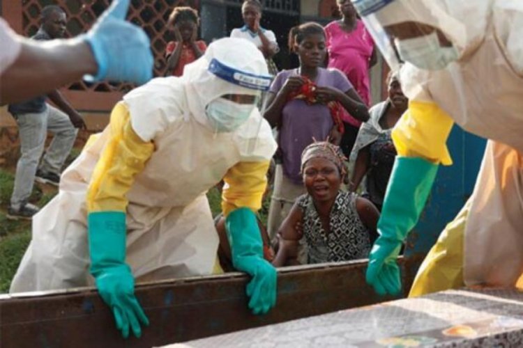 Ebola salgınının bittiğini ilan etmeye hazırlanıyorlar