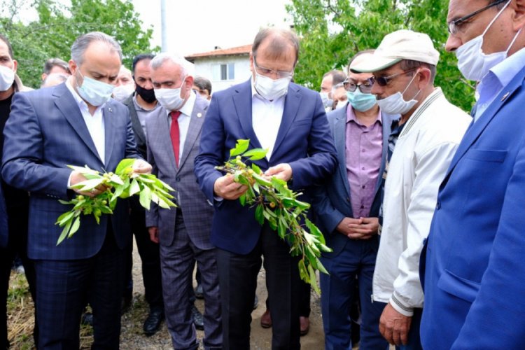 Bursa Milletvekili Çavuşoğlu, dolu mağduru çiftçiye destek verdi