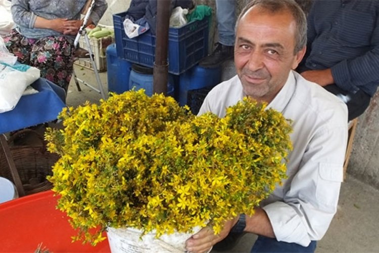 2,5 liradan satılıyor! B&uuml;y&uuml;k ilgi g&ouml;r&uuml;yor