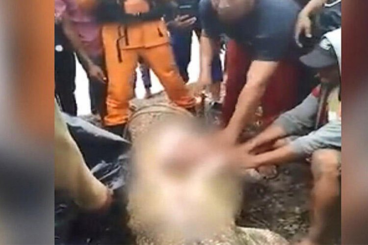 Timsaha yem olan kadının par&ccedil;aları hayvanın midesinden &ccedil;ıktı!