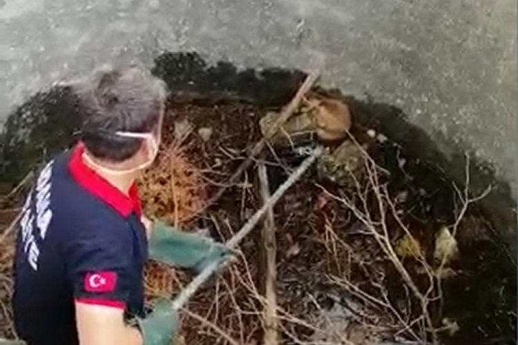 Sulama havuzuna d&uuml;şen tilkiyi itfaiye kurtardı