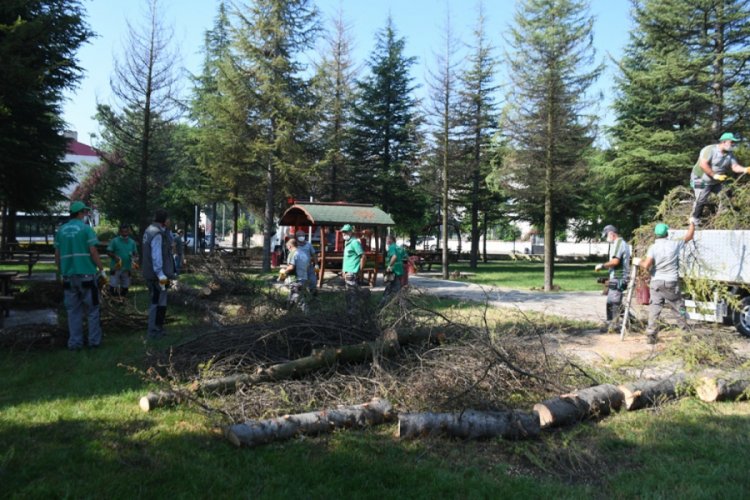 Bursa İneg&ouml;l Turgutalp koruluğunda kuruyan ağa&ccedil;lar yenileniyor