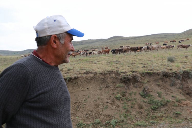 &Ccedil;orum'da 'aslan' iddiaları &ccedil;obanları korkutuyor