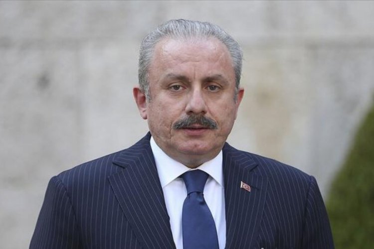 Şentop'dan 'Pen&ccedil;e-Kaplan' operasyonuna destek a&ccedil;ıklaması
