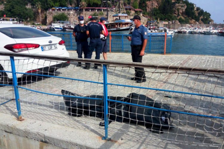 Denizde bulunan cesedin kime ait olduğu belirlendi