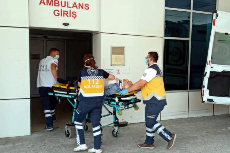 Erik topladığı ağa&ccedil;tan d&uuml;şerek &ouml;ld&uuml;
