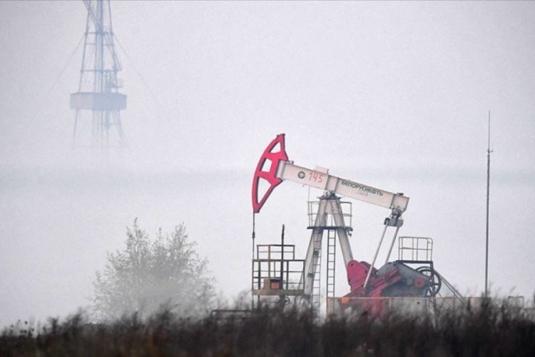 OPEC'in ham petrol &uuml;retimi mayısta azaldı