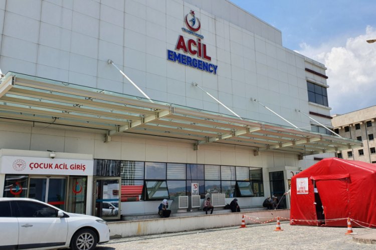 Kenenin ısırdığı 7 kişi tedavi altına alındı