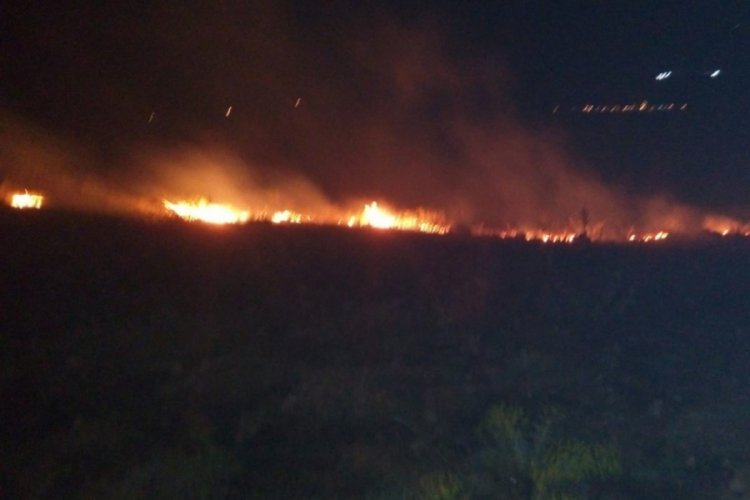 Adıyaman'da 2 hektarlık alan k&uuml;le d&ouml;nd&uuml;