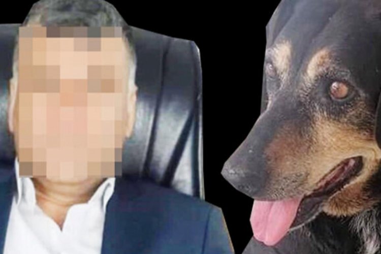 Bunu yapan insan olamaz! Bir ay boyunca işkence ve tecav&uuml;z