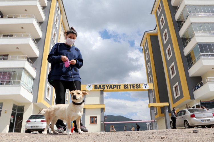 K&ouml;pekleri y&uuml;z&uuml;nden sitedekilerle mahkemelik oldular