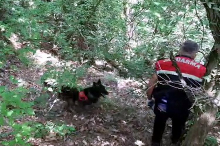 '&Ouml;rt&uuml;' ile yapılan aramada 258 k&ouml;k kenevir ele ge&ccedil;irildi