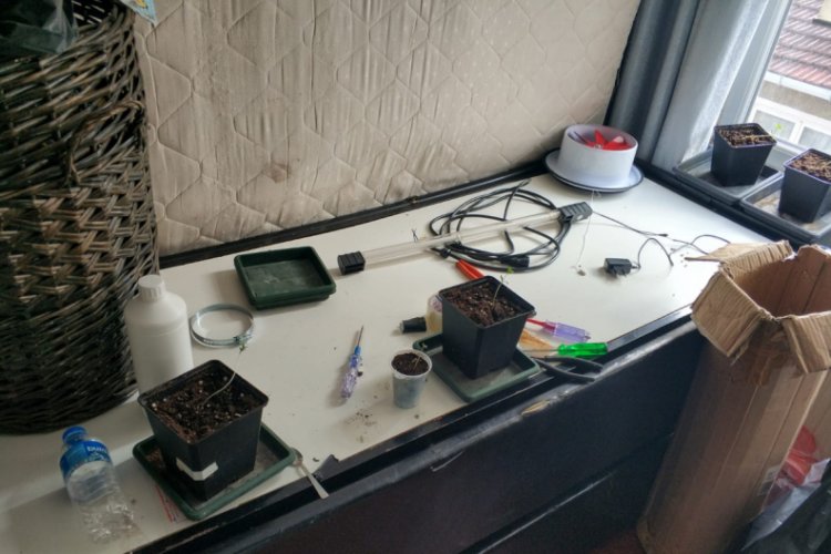 İstanbul'da 39 il&ccedil;ede eş zamanlı operasyon: 248 g&ouml;zaltı