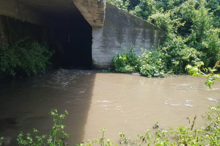Bursa'da İznik G&ouml;l&uuml;'ne karışan derenin rengi siyaha d&ouml;nd&uuml;