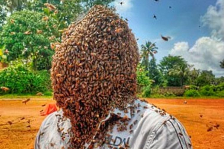 60 bin arıyı kafasında tuttu, rekorlar kitabına girdi