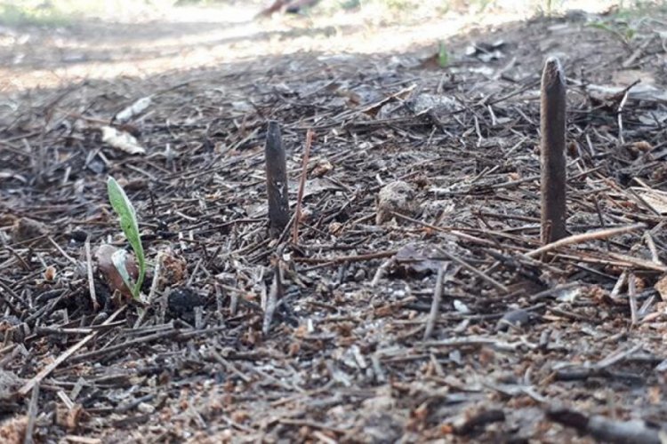 Yol k&acirc;busları oldu! Valilik harekete ge&ccedil;ti
