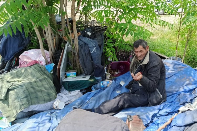 Bursa'da sokakta yaşayan adam, kedi yavrularına babalık yapıyor