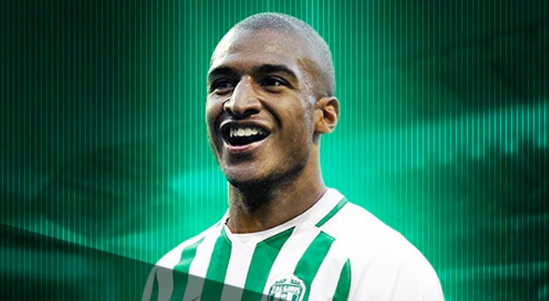Fransız forvet David N'Gog, futbolu bıraktı