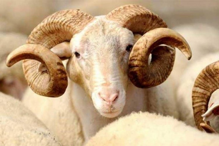 Kurban vekalet &uuml;creti belli oldu