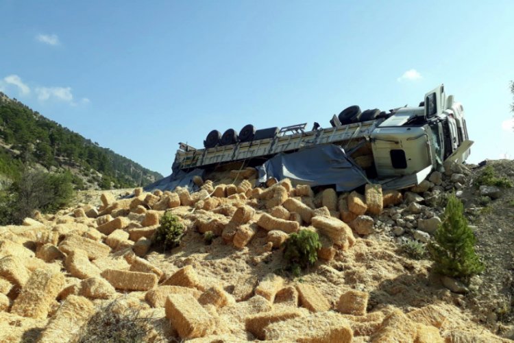 TIR şarampole devrildi, saman balyaları &ccedil;evreye dağıldı