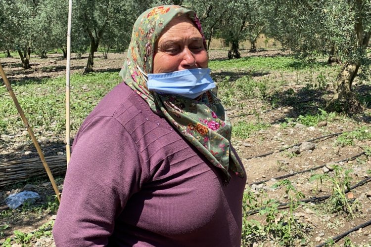 Bursa'da ekili arazisini sel vurunca g&ouml;zyaşı d&ouml;kt&uuml;