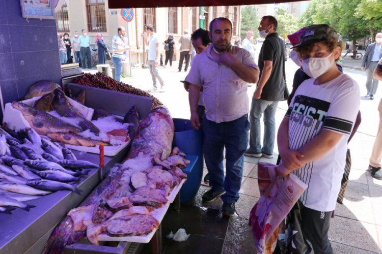 Tezgahtaki 80 kilo yayın balığı ilgi g&ouml;rd&uuml;