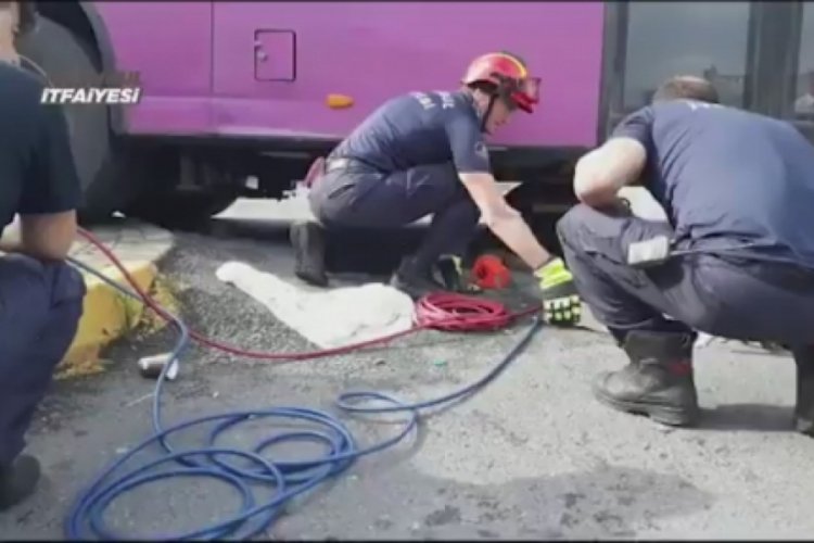 Ekipler otob&uuml;s&uuml;n motor kısmına sıkışan kedi i&ccedil;in seferber oldu