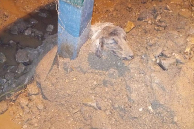 Bursa'da selden geriye y&uuml;rek yakan fotoğraflar kaldı