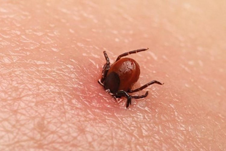 18 yaşındaki gen&ccedil; KKKA ş&uuml;phesiyle hayatını kaybetti