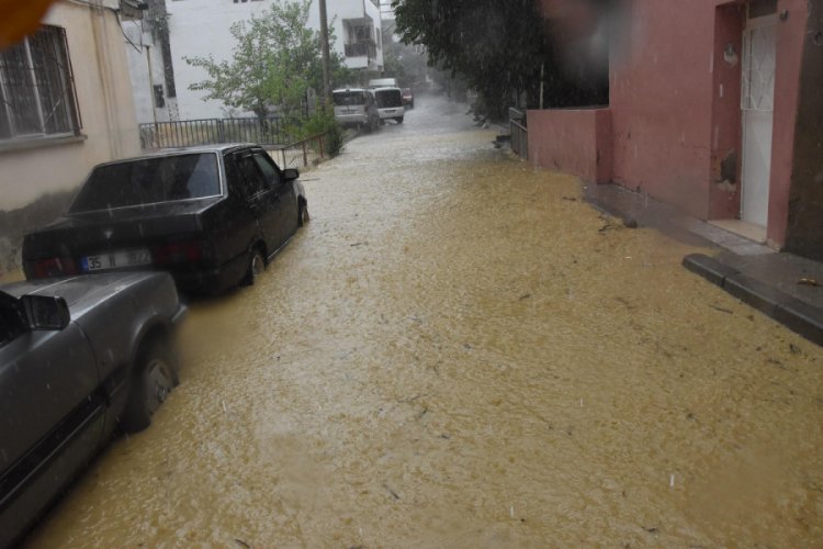 İzmir'de sağanak! Dere taştı, ev ve iş yerleri su altında