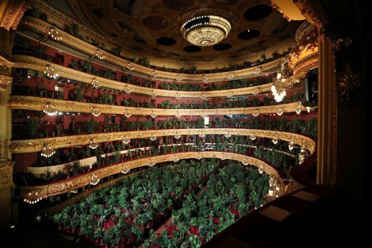 Barcelona operası, karantinadan sonra ilk konserini bitkilere verdi