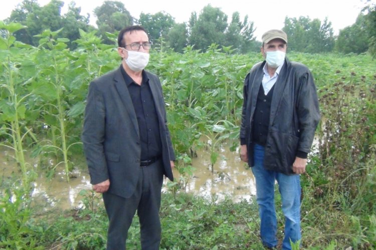 Bursa'da yağmur hayatı fel&ccedil; etti! Dereler taştı, k&ouml;pr&uuml;ler yıkıldı, ağa&ccedil;lar devrildi