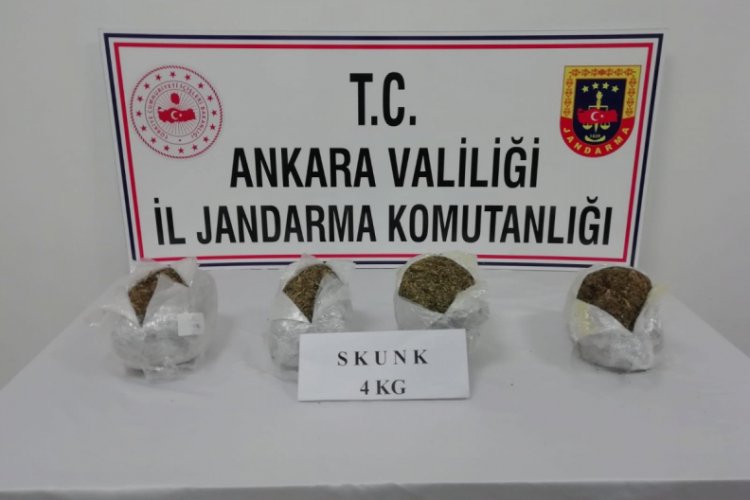Jandarma 44 kilo skunk maddesi ele ge&ccedil;irdi