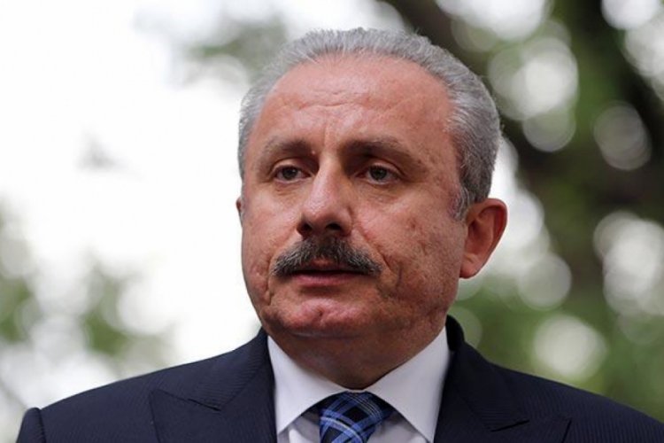 Şentop'tan, Fransa Cumhurbaşkanı Macron'a tepki