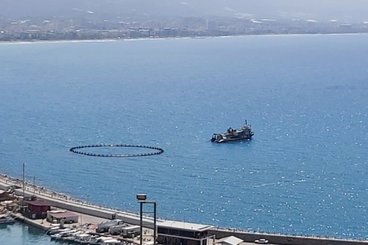 Alanya limanında orkinos kirliliği iddiası