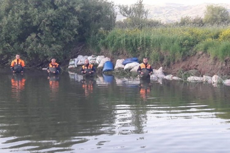 2 ayda ka&ccedil;ak avlanan 90 ton inci kefali ele ge&ccedil;irildi