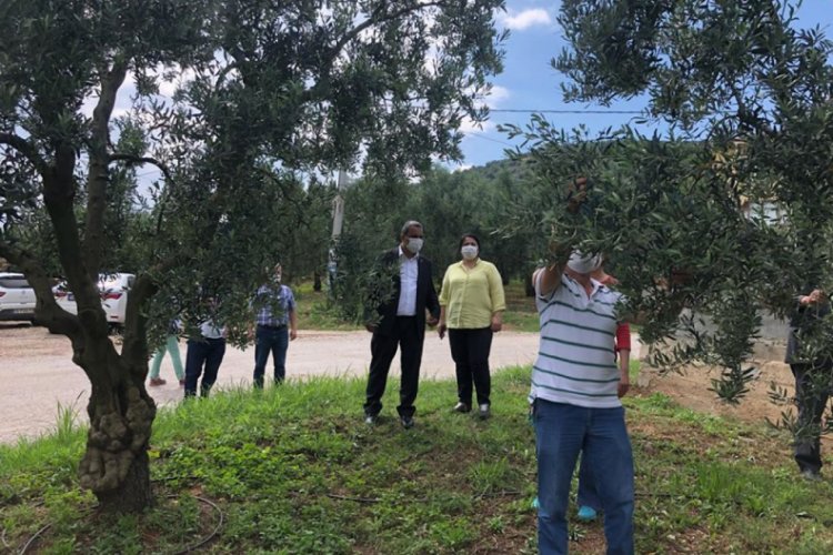 CHP Bursa İl Başkanı Karaca'dan İznik'te &uuml;r&uuml;nleri doludan zarar g&ouml;ren &uuml;reticiye ziyaret