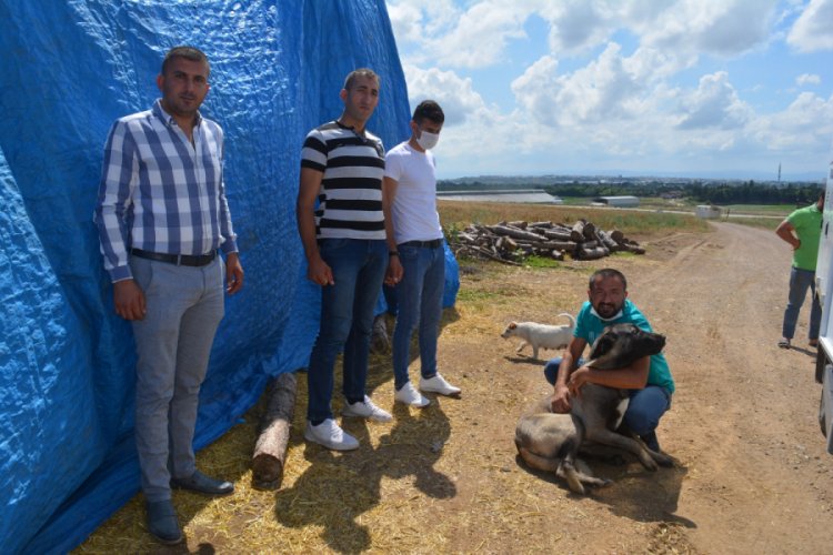 Bursa Karacabeyli iş adamı, 10 yıldır &ouml;zenle baktığı k&ouml;peğini TSK'ya h&icirc;be etti