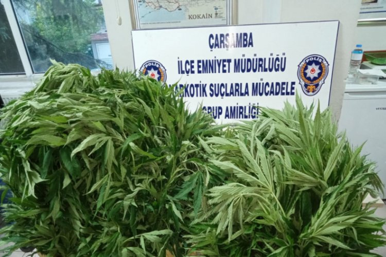 408 k&ouml;k kenevire 1 tutuklama