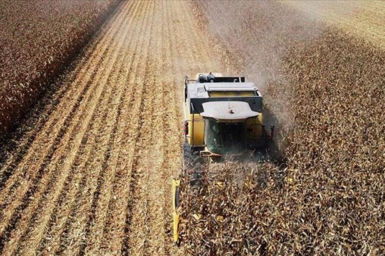 TİGEM, Trakya'nın tarım ve hayvancılığına b&uuml;y&uuml;k katkı sağlıyor