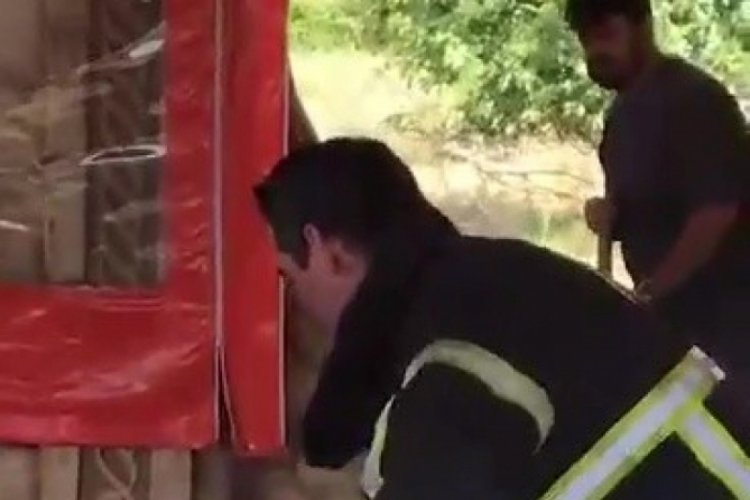 Restoran servis masasına giren 2 metrelik yılan kurtarıldı