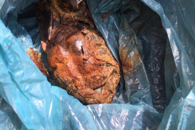 Bah&ccedil;esinde 'el bombası' buldu